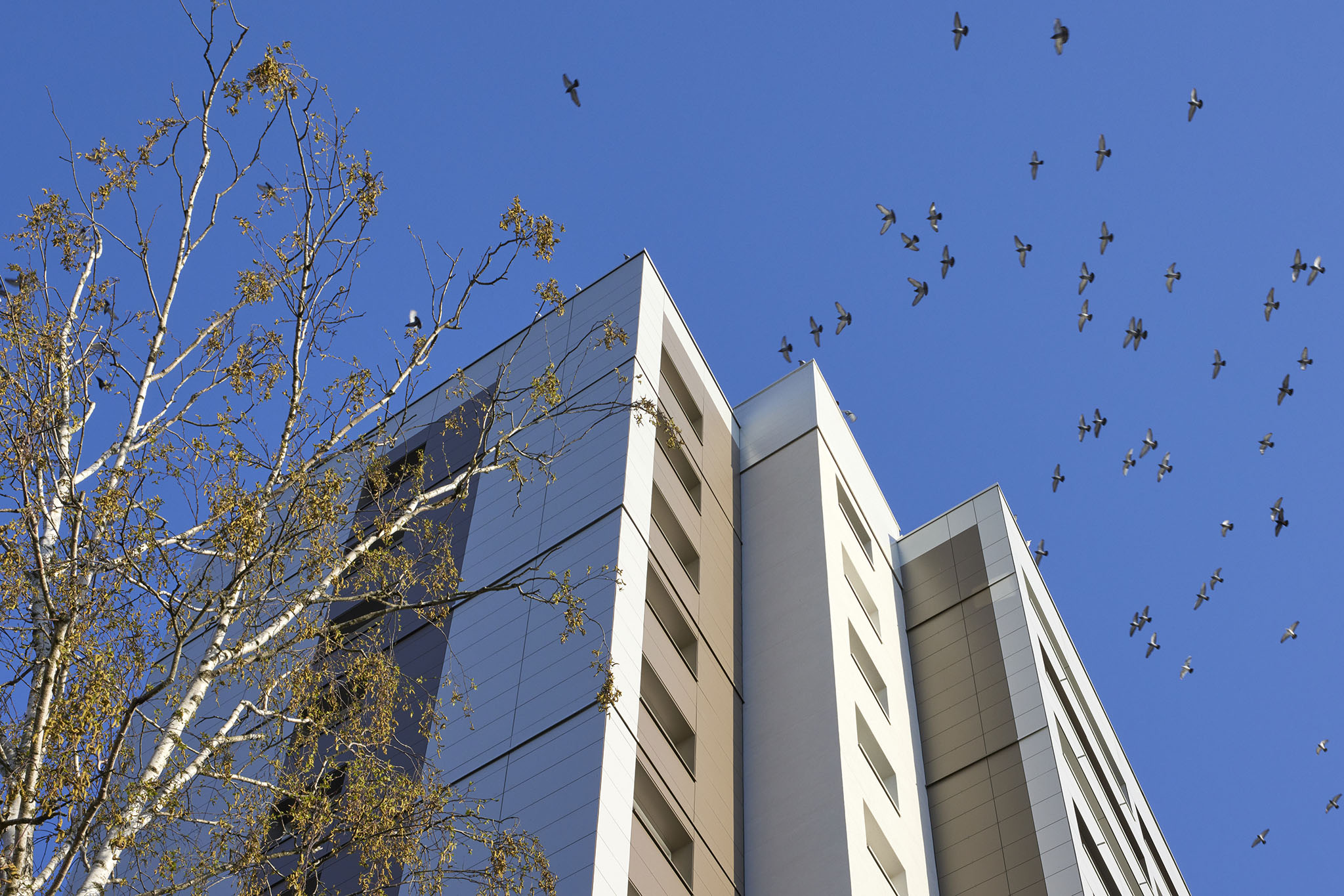 Réhabilitation de 260 logements à Angers rue Pierre Gaubert